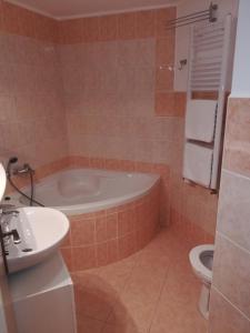 a bathroom with a tub and a toilet and a sink at Apartments Rokytka 308 & 405 in Rokytnice nad Jizerou