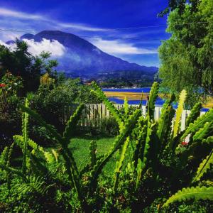 Příroda nedaleko hostelu