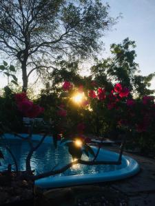 Bazén v ubytování macambira café pousada nebo v jeho okolí