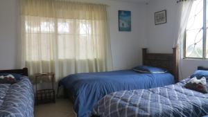 Postel nebo postele na pokoji v ubytování Hostal Casa Lantana