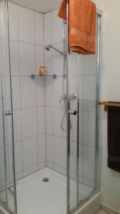 a bathroom with a shower with a glass door at Hof Heideland 2 - Fenster zum Hof in Eichholz
