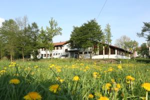 un champ de fleurs devant une maison dans l'établissement Tagungshaus Wernau, à Wernau