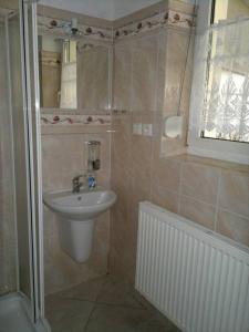 a small bathroom with a sink and a shower at Vila Patricie in Luhačovice