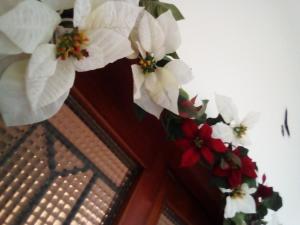 Foto sihtkohas San Benedetto del Tronto asuva majutusasutuse Officina Urban Sleep galeriist