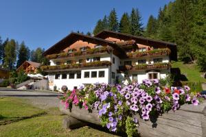 Zahrada ubytování Hotel Pontives