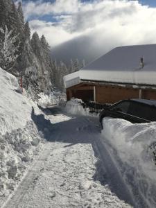Ferienwohnung Lenzerheide - Lain talvel
