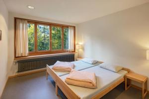 1 dormitorio con 2 camas y ventana en Grindelwald Youth Hostel en Grindelwald