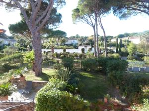 einen Garten mit vielen Pflanzen und Bäumen in der Unterkunft GASLIND - Golfe de St-Tropez - Mazet dans domaine privé avec piscine in Gassin