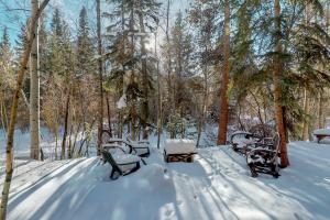 un groupe de bancs de parc recouverts de neige dans l'établissement Rivercrest 1, à Frisco