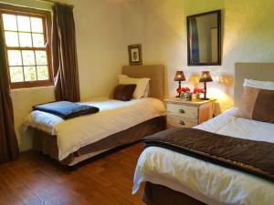 a bedroom with two beds and a mirror at Pear Tree Cottage-Underberg in Underberg