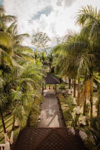 an overhead view of a walkway between palm trees at Hotel Costa Choco in Bahía Solano +44 photos
