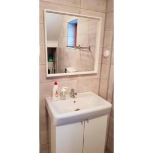 a bathroom with a sink and a mirror at Vaso apartament in Sinaia +21 photos