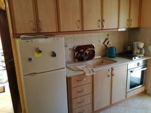 a kitchen with a white refrigerator and a sink at Litsa 1 in Metamorfosi +4 photos