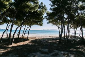 Gallery image of Villa Baladres in Alcudia