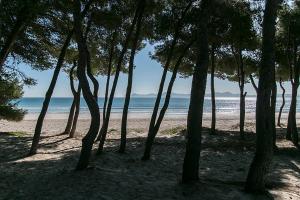 Gallery image of Villa Baladres in Alcudia