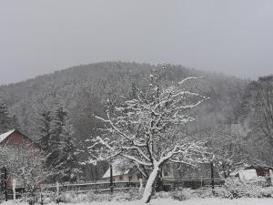 Ubytovaní vila Pramínek v zimě