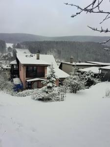 Ubytovaní vila Pramínek v zimě