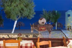 a statue of a donkey standing next to a table at Veggera Beach Hotel in Perissa