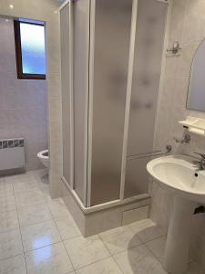 a bathroom with a shower and a sink and a toilet at Rekreační dům Sudoměřice u Bechyně in Sudoměřice