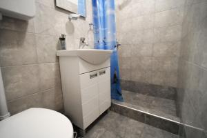 ein Bad mit einem WC, einem Waschbecken und einer Dusche in der Unterkunft Apartman Rale in Belgrad