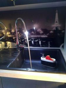 eine Küchenspüle mit einem Wasserhahn und einer Schale mit rotem Obst in der Unterkunft Simply the best in Asnières-sur-Seine