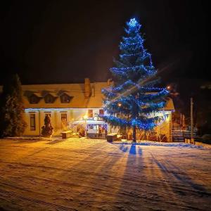 ein Weihnachtsbaum mit blauen Lichtern vor einem Gebäude in der Unterkunft Penzion U Jana in Výprachtice