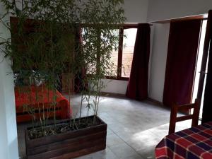 una sala de estar con una maceta y una ventana en Santa Teresita Sobre El Monte en Santa Teresita