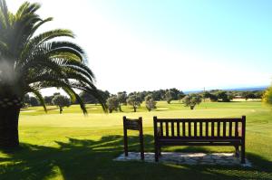a park bench next to a palm tree and a golf course at Hostal Brisa Marina in Port d'Alcudia