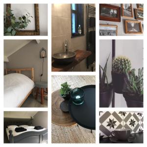 a collage of pictures of a room with plants at Huusje18 in Nunspeet