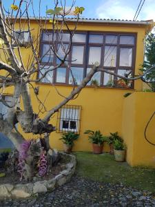 Zahrada ubytování Cortijo de la Cruz
