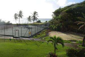 un campo da tennis vicino all'oceano con palme di Maison Créole a Saint-François