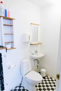 a bathroom with a white toilet and a sink at Tangahús Guesthouse in Borðeyri