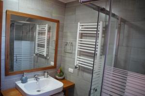 a bathroom with a sink and a shower and a mirror at Puerto Austral in Puerto Varas +33 photos