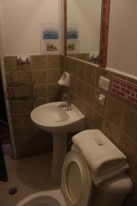 Bagno di Hotel Andino
