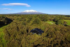 a house on a hill with a mountain in the background at Night Sky Cottage in Ohakune