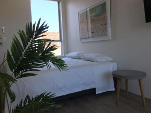 a bedroom with a bed and a plant and a window at Bondi Beach Studio Penthouse Suite + Balcony in Sydney