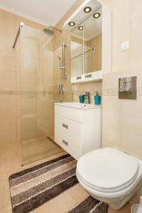 a bathroom with a white toilet and a shower at Apartment Sidro in Petrovac na Moru