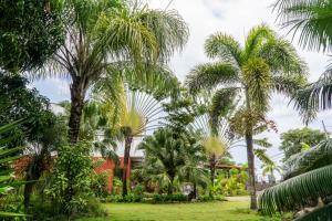 a group of palm trees in a park at Emoyeni Gardens in São Tomé