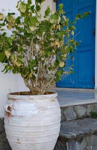 Fotografie z fotogalerie ubytování Villa Georgia v destinaci Vasilikos