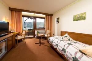 TV a/nebo společenská místnost v ubytování Silberkönig Schwarzwald Hotel & Restaurant Ringhotel