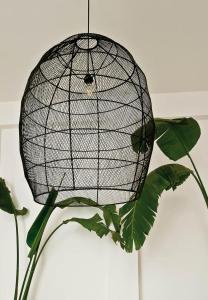 a black bird cage hanging from a plant at Numa Marrakech in Marrakesh