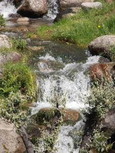 un flusso d’acqua in un campo con rocce di Doce Lar a Manteigas