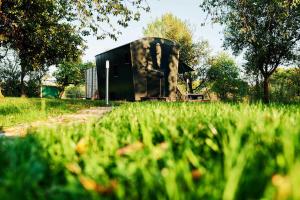 a shed in the middle of a field of grass at Schäferwagen Merino in Gräfenberg
