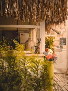 una exposición de flores y plantas en una tienda en Peri Art Hotel, en Alacati