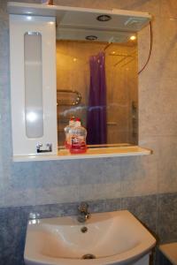 リャザンにあるАпартаменты на Чкаловаのバスルーム(洗面台、鏡付)