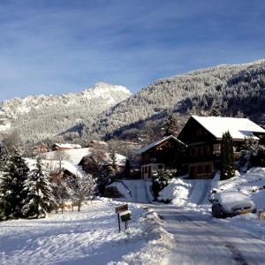 冬天的L'Ours Blanc Lodge