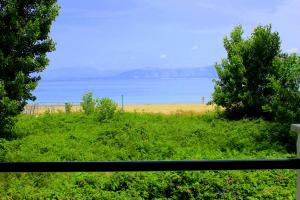 Táj az apartman közelében