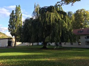 Zahrada ubytování Åtorps herrgård