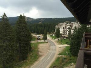 Příroda nedaleko apartmánu