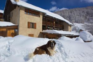 Galeriebild der Unterkunft Le Chalet Viso Auberge gite in Arvieux